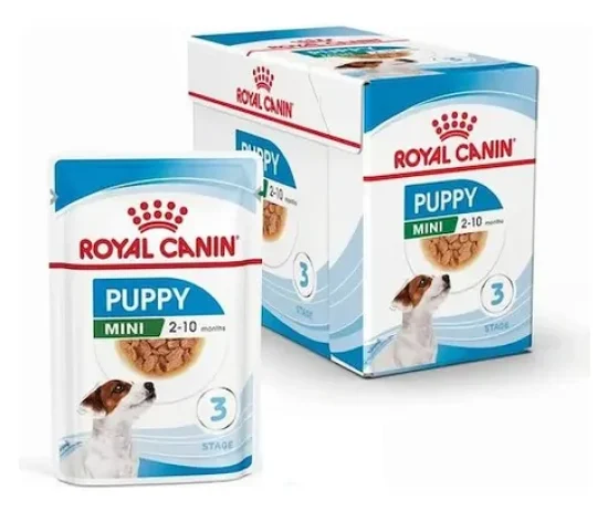 D_NQ_NP_623691-MLA80530822100_112024-O