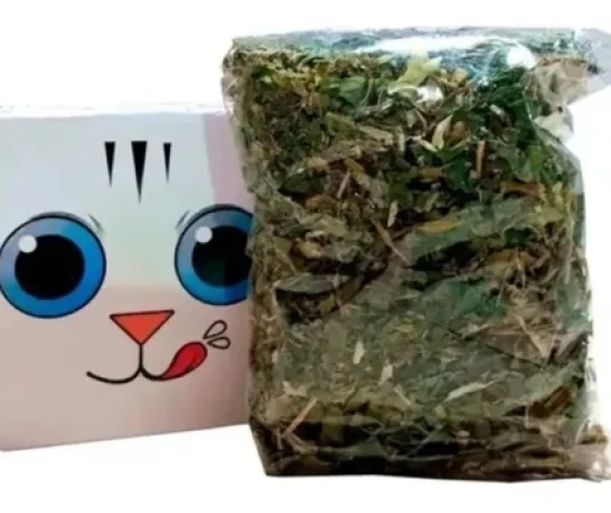 D_NQ_NP_625283-MLA53587049114_022023-O