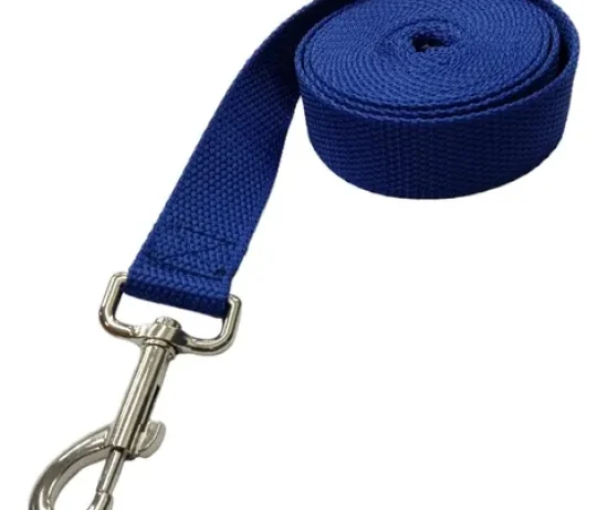 D_NQ_NP_635383-MLA77968456880_082024-O