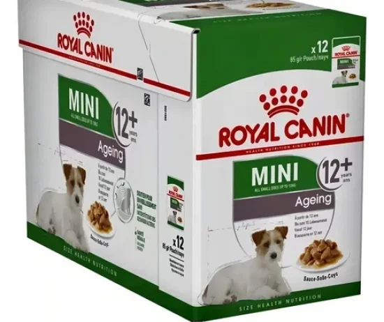 D_NQ_NP_646240-MLA88062748712_072025-O