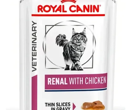 D_NQ_NP_704191-MLA90370839657_082025-O