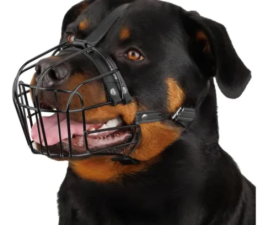 D_NQ_NP_707529-MLA86102881536_062025-O