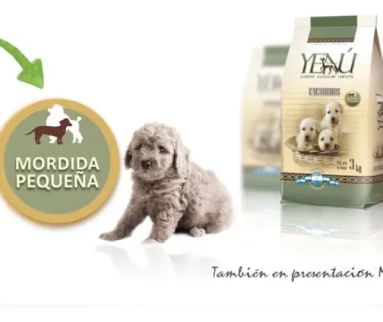 D_NQ_NP_720479-MLA76181907930_052024-O