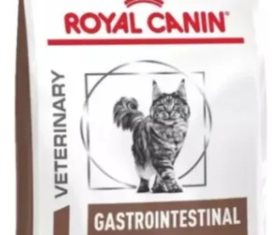 D_NQ_NP_771503-MLA83019375441_032025-O