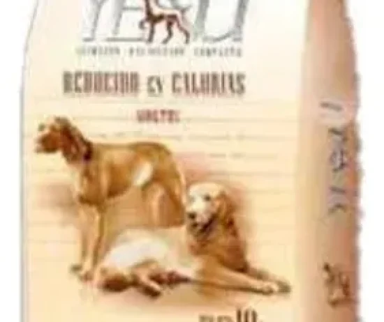 D_NQ_NP_775124-MLA76316022389_052024-O