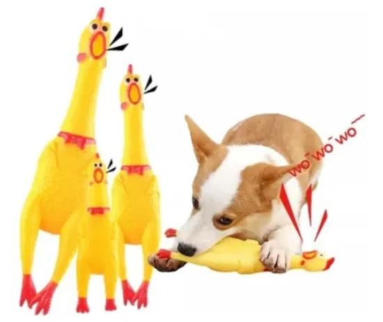 D_NQ_NP_780587-MLC84395313003_052025-O-pollo-juguete-de-goma-con-sonido-39cm-para-perros-y-gatos