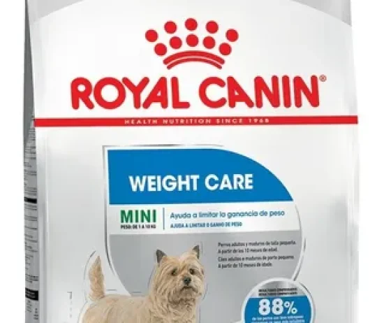 D_NQ_NP_796278-MLU72572859830_112023-O