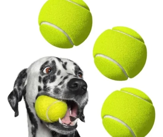 D_NQ_NP_803590-MLA69757395903_062023-O