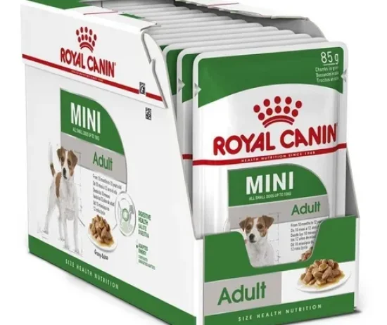 D_NQ_NP_809690-MLA45294786103_032021-O