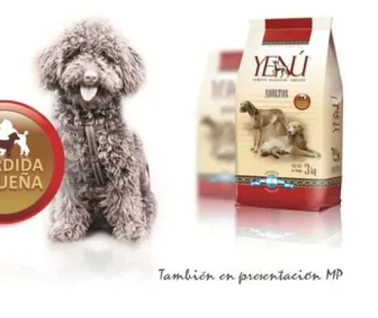 D_NQ_NP_882104-MLA80087743923_102024-O