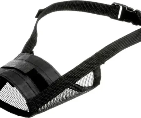 D_NQ_NP_898203-MLA82126937179_012025-O