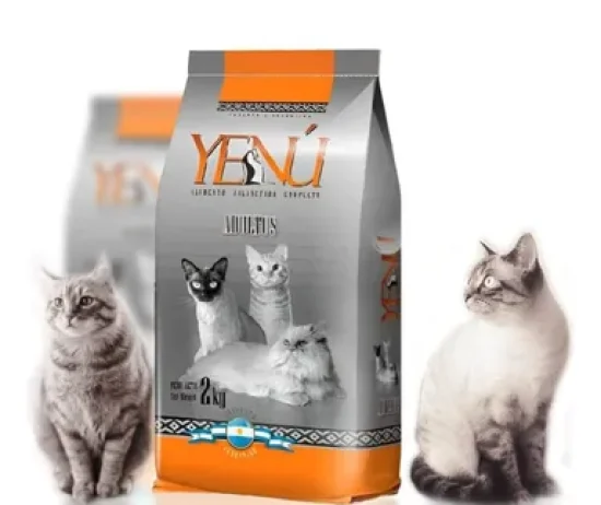 D_NQ_NP_917210-MLA76162831278_052024-O