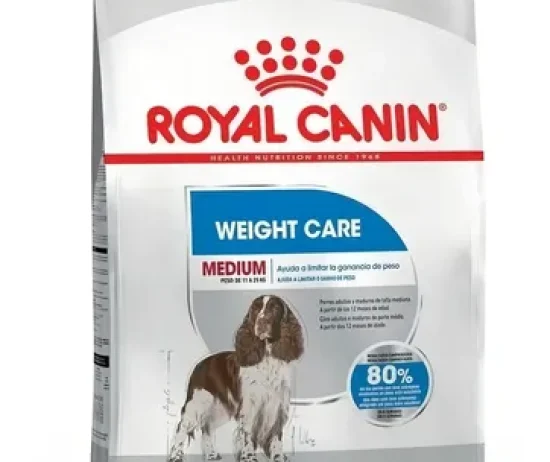 D_NQ_NP_954648-MLU78138948396_082024-O