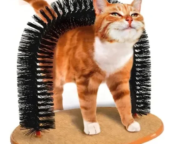 D_NQ_NP_964068-MLU78075925525_072024-O