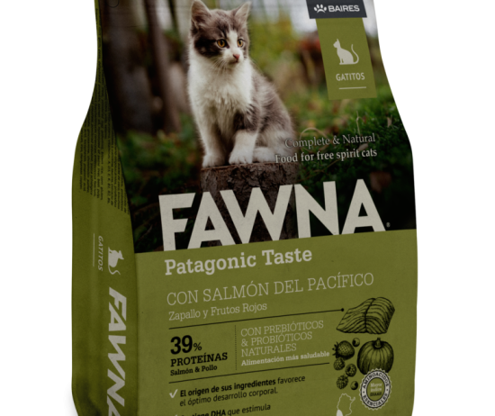 FAWNA_gatitos-777x1024