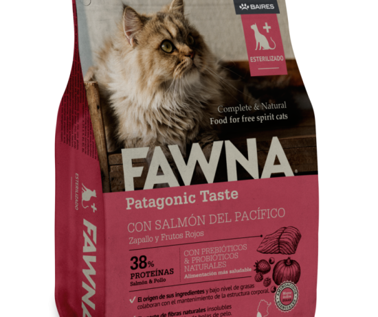 FAWNA_gato_esterilizado-777x1024