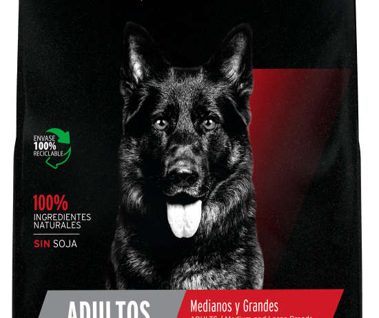 Mockup_Equilibrium-Adulto-MyG-1