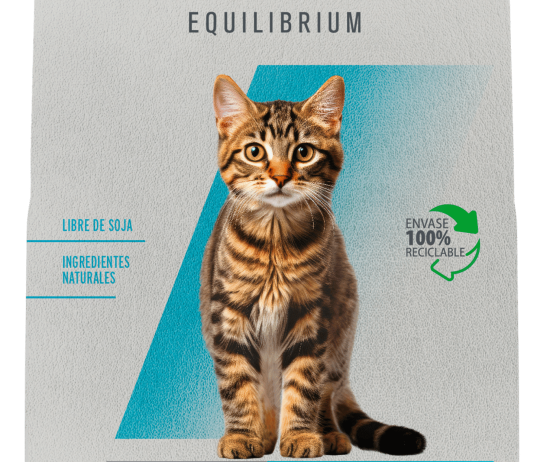 Mockup_Equilibrium-Gatito
