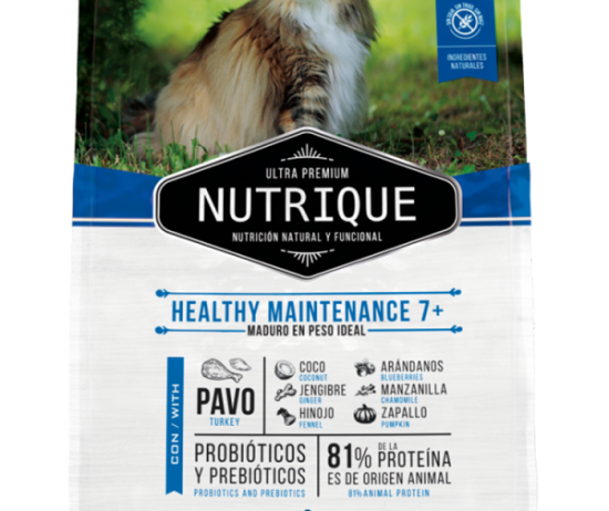 Nutrique-frente-Healthy-Maintenance-600x896