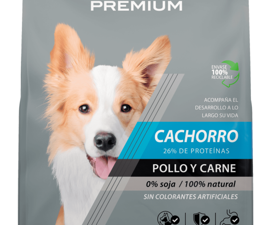 Premium-Cachorro-1