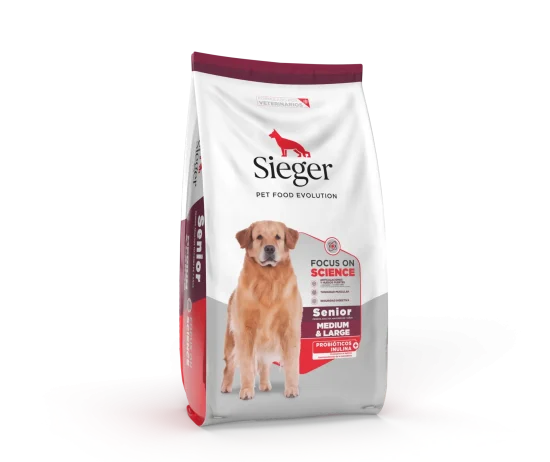 SiegerSenior-2048x2048