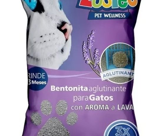 WhatsApp-Image-2024-08-13-at-19.29.32