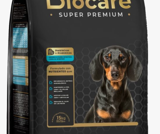 WhatsApp-Image-2025-02-25-at-16.10.04-1