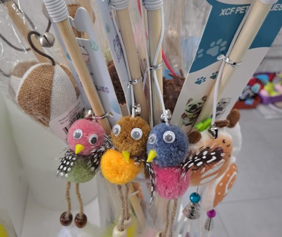 WhatsApp Image 2025-12-23 at 12.11.53 PM