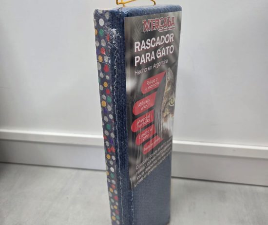 WhatsApp Image 2025-12-26 at 7.01.28 PM (1)