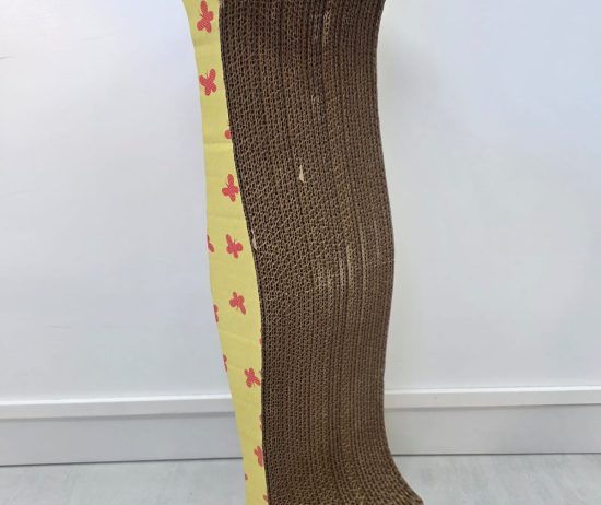 WhatsApp Image 2025-12-26 at 7.01.30 PM