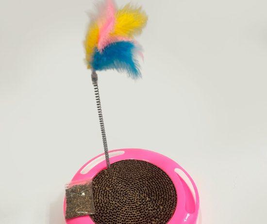 WhatsApp Image 2026-01-03 at 10.20.11 AM