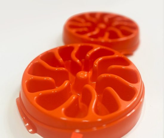 WhatsApp Image 2026-01-03 at 10.20.12 AM