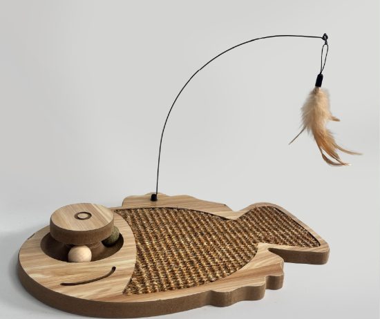 WhatsApp Image 2026-01-20 at 10.08.23 AM