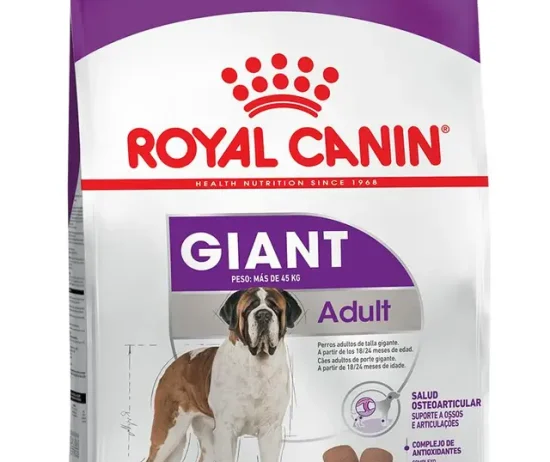 b35bbdf8-33c2-4382-9bbb-b20b0026a8e4_DownloadAsJpg