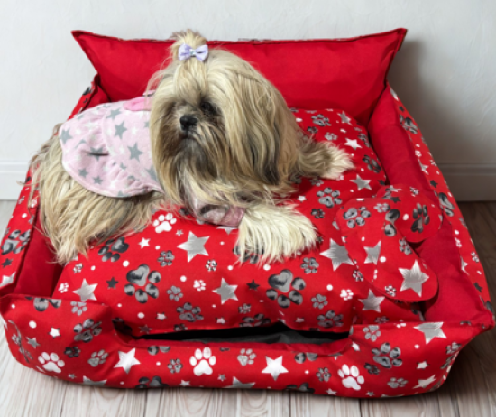 b8ff2847-6f4d-430e-8e84-1279d88a2d33-1b69989e3d7977559c17521701196979-480-0