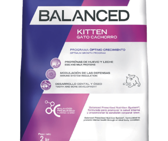 balanced-gato-envase-cachorro-@2x-600x896