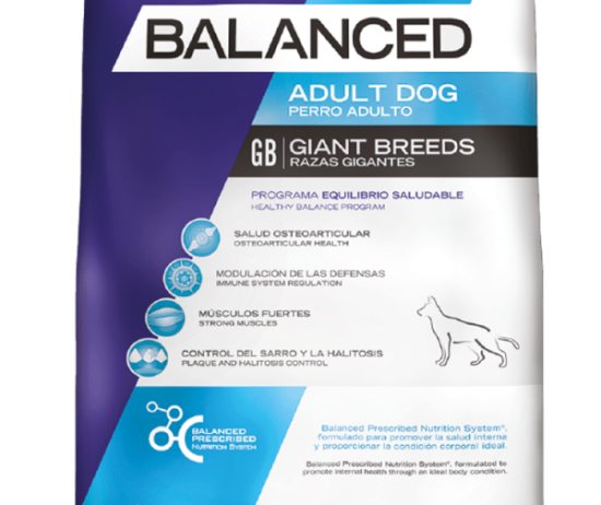 balanced-perro-envase-adulto-gigante-@2x-600x896