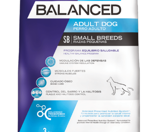 balanced-perro-envase-adulto-peque-@2x-600x896