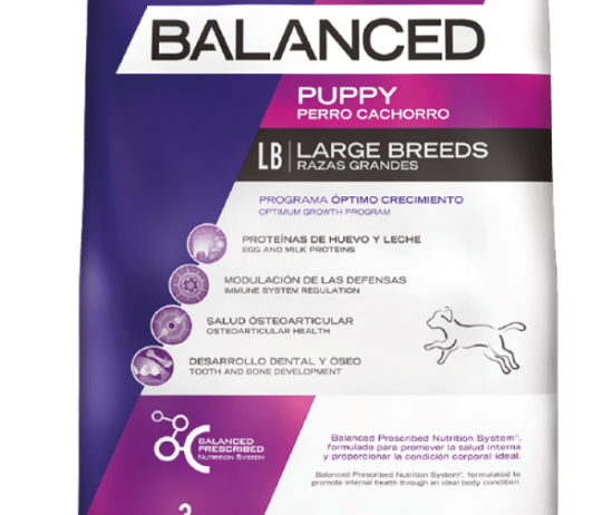 balanced-perro-envase-cachorro-grande-@2x-600x896