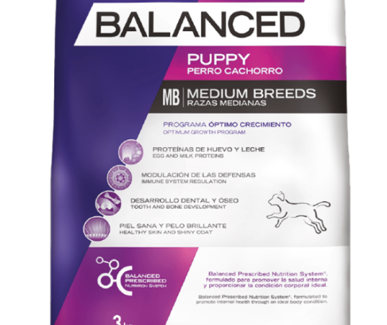 balanced-perro-envase-cachorro-medio-@2x-600x896