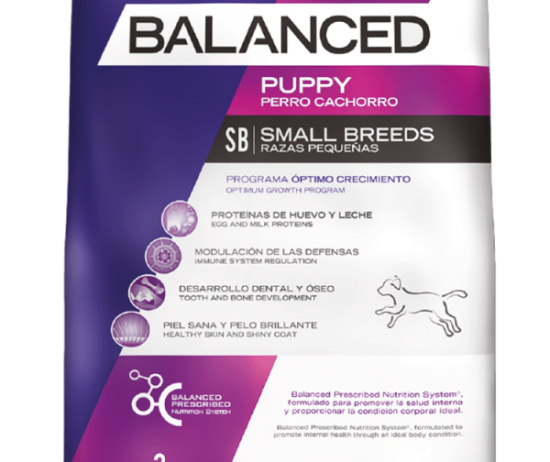 balanced-perro-envase-cachorro-peque-@2x-600x896