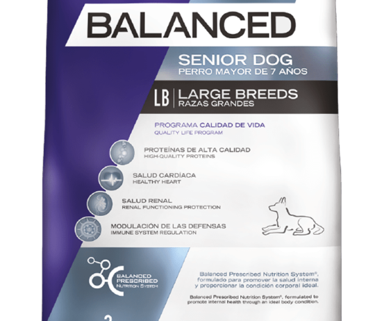 balanced-perro-envase-senior-grande-@2x.