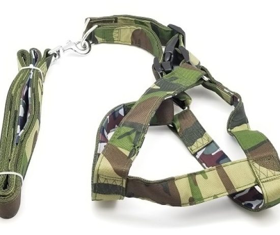 conjunto-camuflado1-c529776e13ac77f8fe15997616544257-640-0