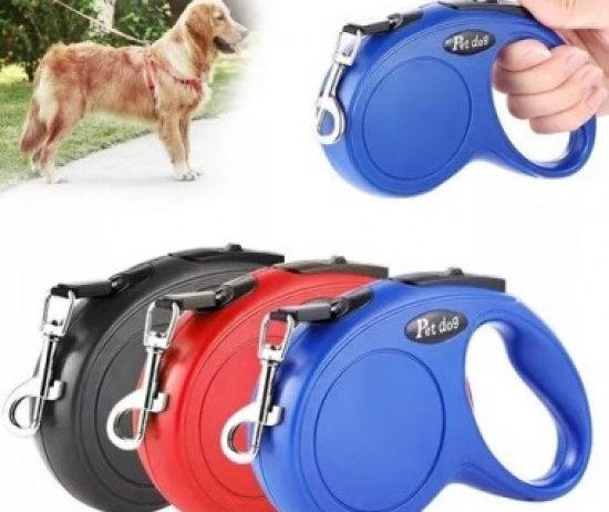 correa-extensible-5-metros