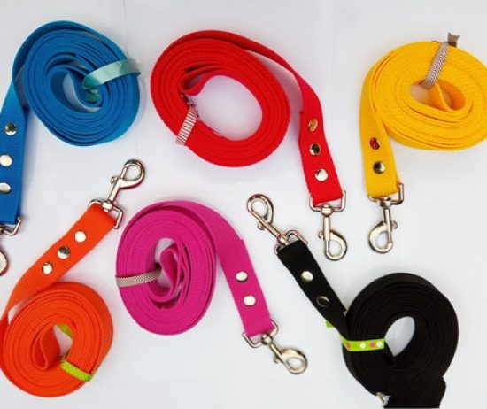correas-adiestramiento