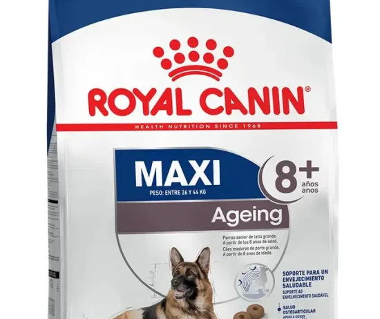 d8706c68-6580-463e-9e65-b20b0026ac1f_DownloadAsJpg