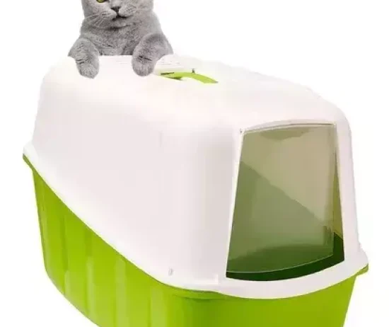 d_nq_np_995486-mla46273429372_062021-o-dd72ce2df0aa92094517089521052750-640-0