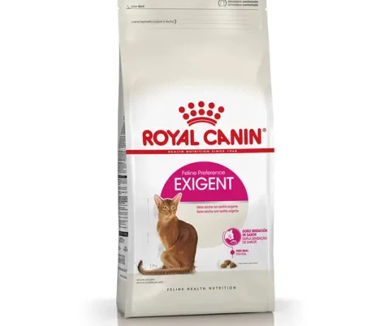 da0f58ab-3263-43ff-a202-b20b0026db46_DownloadAsJpg