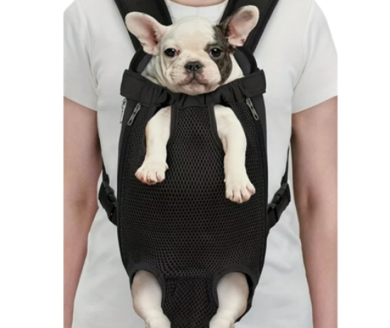 diseno-sin-titulo-50-ef68b3c6899bfebbbb17422240093224-480-0