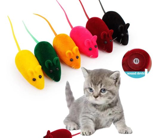 e62cce70688875b1a9d9ac739094a6a9